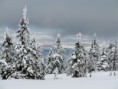 /album/krkonose-spindl-mlyn/img-0904-jpg/